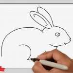 Zeichnen Für Anfänger Vorlagen Schritt Für Schritt Elegant Hase Zeichnen Schritt Für Schritt Für Anfänger & Kinder