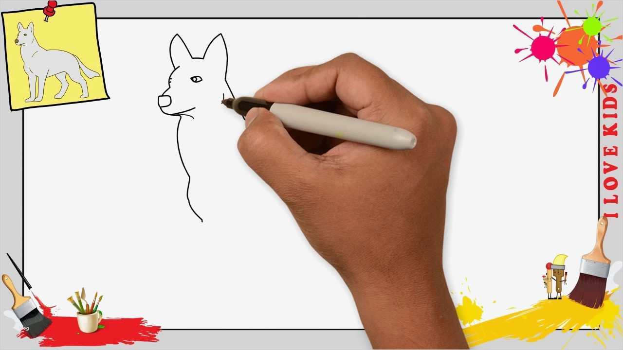 Zeichnen Für Anfänger Vorlagen Schritt Für Schritt Erstaunlich Wolf Zeichnen Schritt Für Schritt Für Anfänger & Kinder