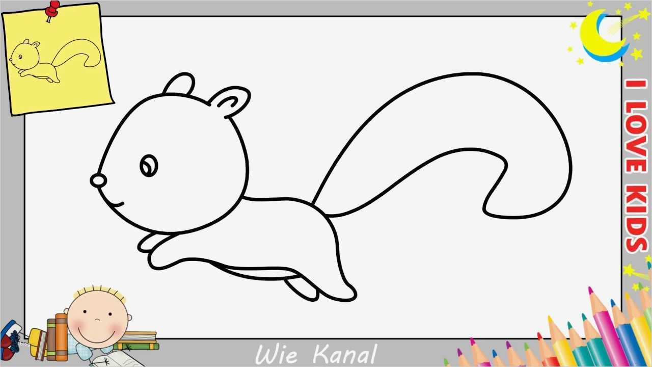 Zeichnen Für Anfänger Vorlagen Schritt Für Schritt Genial Eichhörnchen Zeichnen Lernen Einfach Schritt Für Schritt
