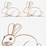 Zeichnen Für Anfänger Vorlagen Schritt Für Schritt Neu Kaninchen Zeichnen