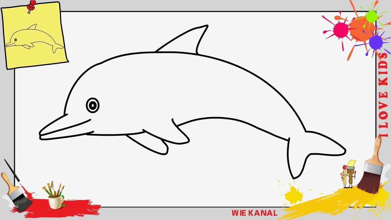 Zeichnen Für Anfänger Vorlagen Schritt Für Schritt Schönste Delfin Zeichnen Schritt Für Schritt Für Anfänger & Kinder