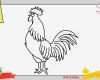 Zeichnen Für Anfänger Vorlagen Schritt Für Schritt Süß Hahn Zeichnen Schritt Für Schritt Für Anfänger & Kinder