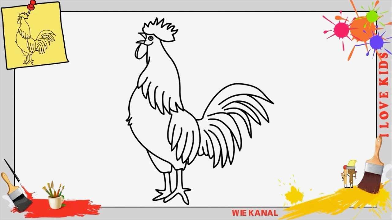 Zeichnen Für Anfänger Vorlagen Schritt Für Schritt Süß Hahn Zeichnen Schritt Für Schritt Für Anfänger & Kinder