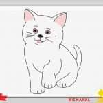 Zeichnen Für Anfänger Vorlagen Schritt Für Schritt Wunderbar Katze Zeichnen 3 Schritt Für Schritt Für Anfänger & Kinder