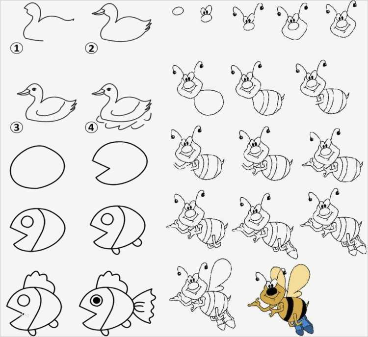 Zeichnen Lernen Kinder Vorlagen Fabelhaft Zeichnen Lernen Mit Anleitungen Für Kinder Witzige