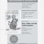 Zeilometer Vorlage Zum Ausdrucken Best Of Rico Oskar Und Tieferschatten Pdf