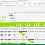 Zeitplan Vorlage Excel Erstaunlich Projektplan Excel
