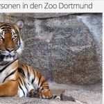 Zoo Gutschein Vorlage Kostenlos Luxus Dortmunder Zoo Gutschein Für 11 90€ Travel Dealz